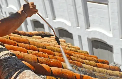 Démoussage de toiture à Pisany
